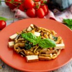 melanzane vegane